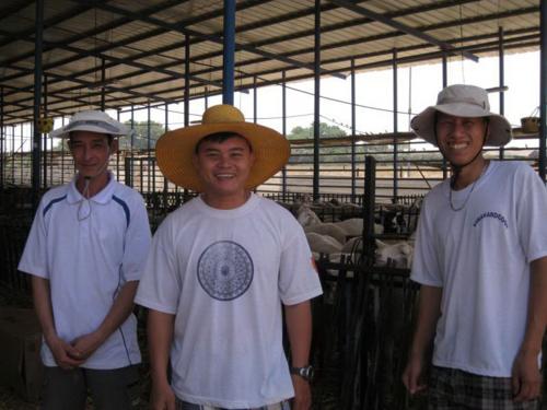 Lao động VN do Gmas tuyển chọn, làm việc tại một trang trại chăn nuôi ở Israel. Ảnh: C.T.V