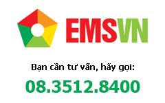 Công ty EMSVN